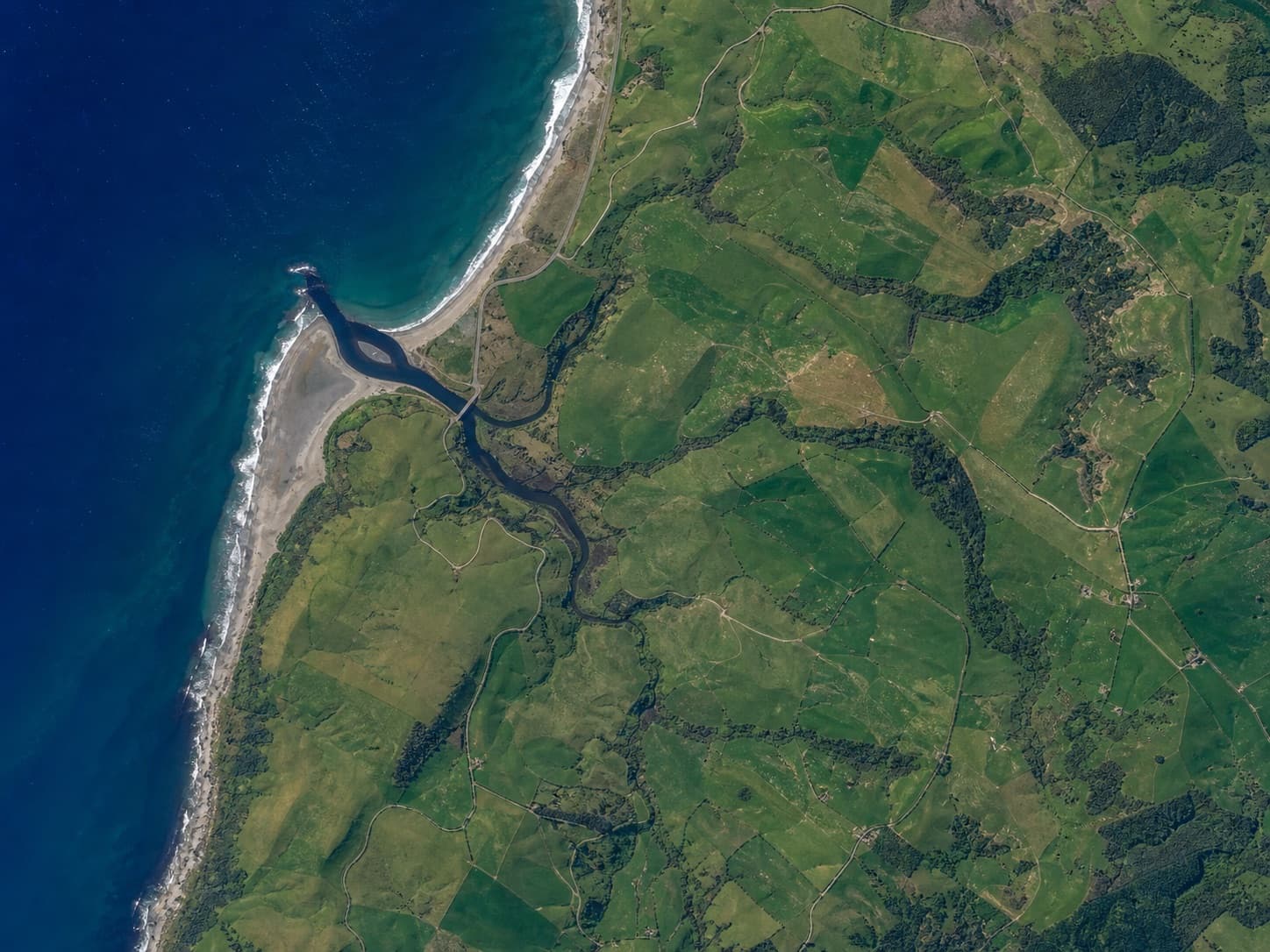 Satellite view of a green coastal landscape with a river mouth, fields, roads, and forest